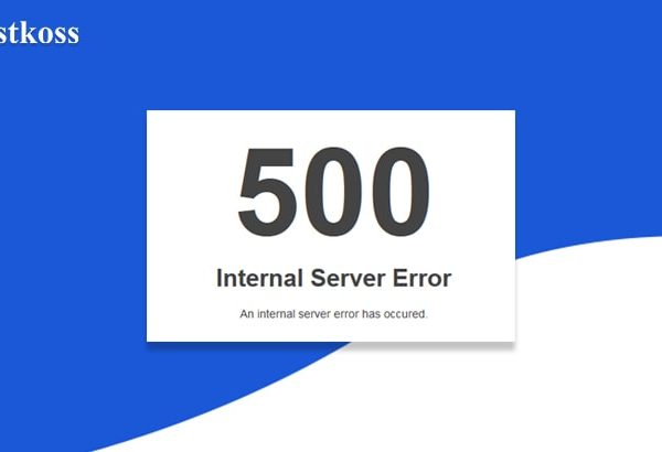 hostkoss-blog-500-error-hostkoss.com