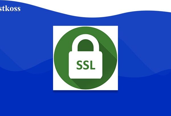 hostkoss-blog-What-is-an-SSL-certificate-hostkoss.com