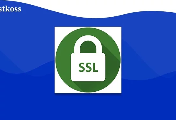 dienoraštis-What-is-an-SSL-certificate